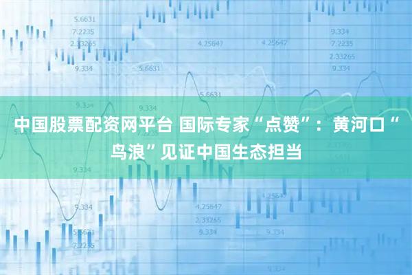 中国股票配资网平台 国际专家“点赞”：黄河口“鸟浪”见证中国生态担当