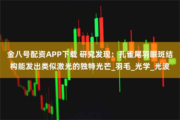 金八号配资APP下载 研究发现：孔雀尾羽眼斑结构能发出类似激光的独特光芒_羽毛_光学_光波