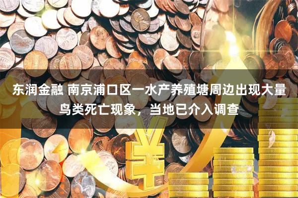 东润金融 南京浦口区一水产养殖塘周边出现大量鸟类死亡现象，当地已介入调查