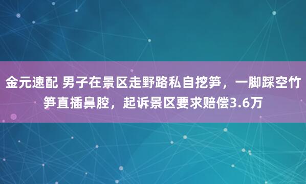 金元速配 男子在景区走野路私自挖笋，一脚踩空竹笋直插鼻腔，起诉景区要求赔偿3.6万